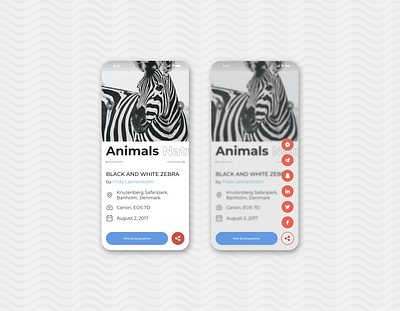 #DailyUI - Share Button #010 animal app blackandwhite branding croaita croatia dailyui design figma hrvatska illustration like logo share ui ux vector web zebra