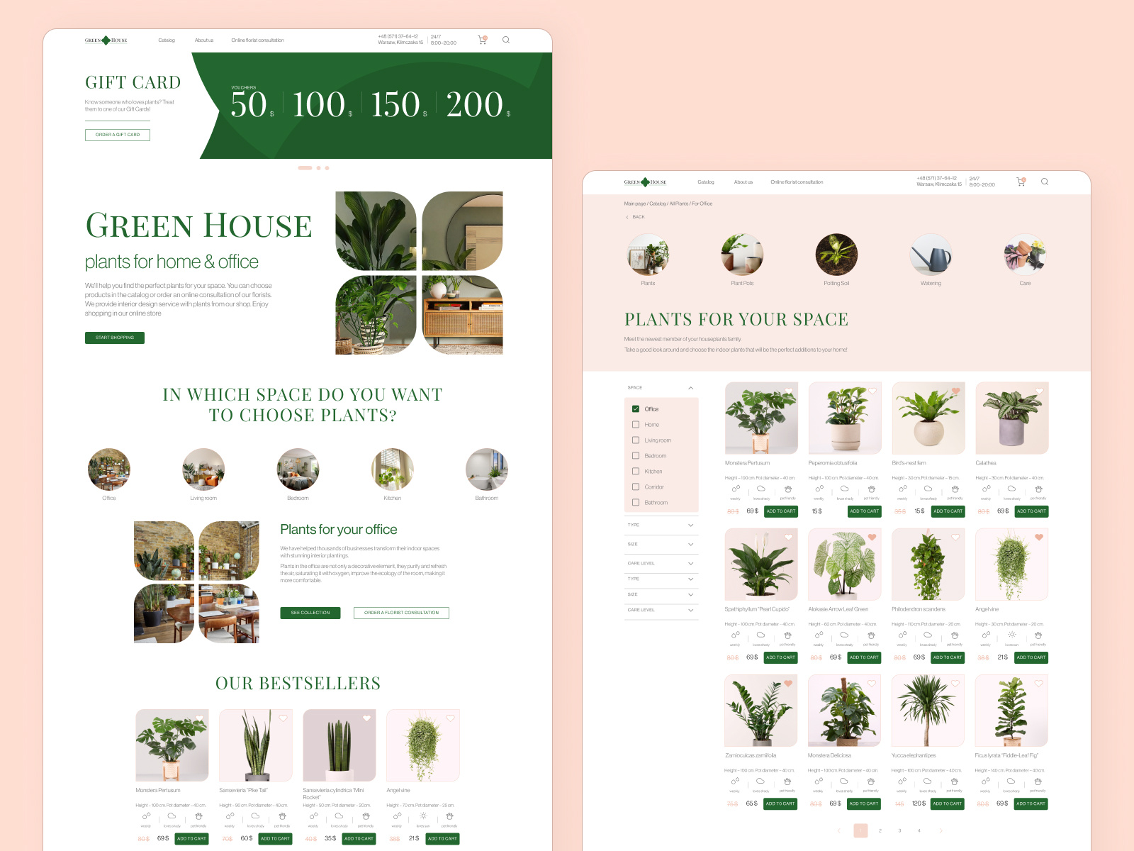 House plant online store by Tatsiana Bogdanova on Dribbble