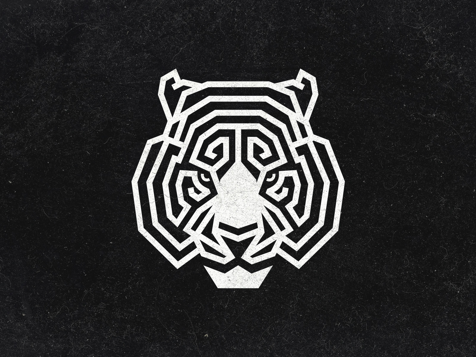 Tiger camocreative cat design head logo mascot pattern stripe tiger wild