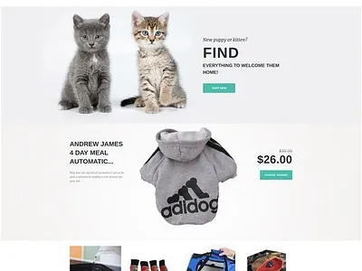 Pet Store Design Using wix design dropshipping store homepage design illustration landing page design logo online store shopify web design website design