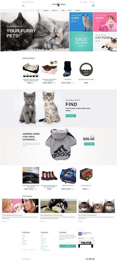 Pet Store Design Using wix design dropshipping store homepage design illustration landing page design logo online store shopify web design website design