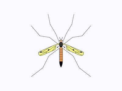 Mr Mosquito biological illustration biology education flat illustration insects minimal mosquito nature school school program science scientific illustration vector web