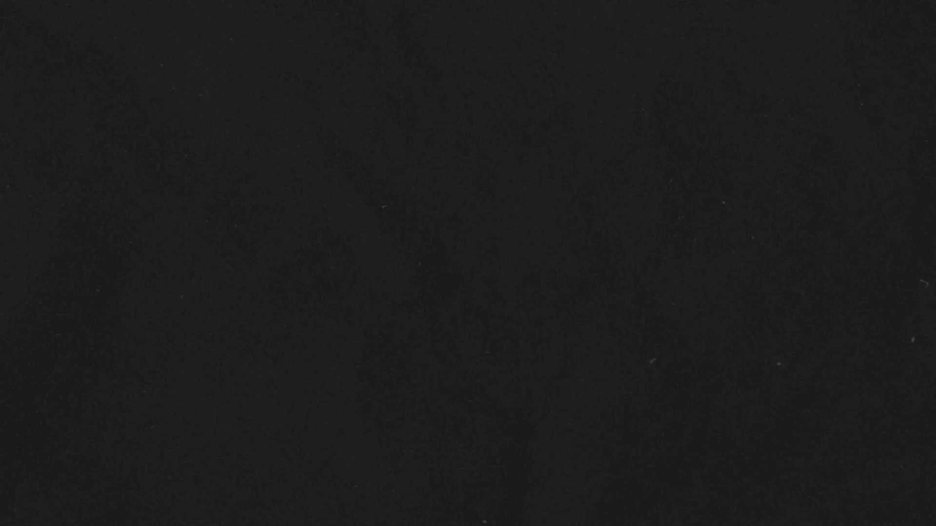 Example of Logo Intro Animation