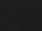 Example of Shot