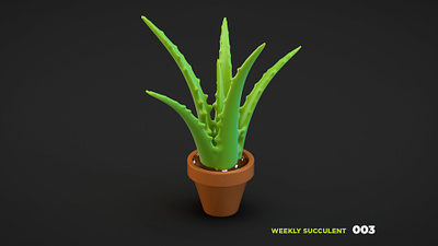 Weekly Succulent 003 3d blender c4d cinema 4d illustration lowpolly plant render succulent