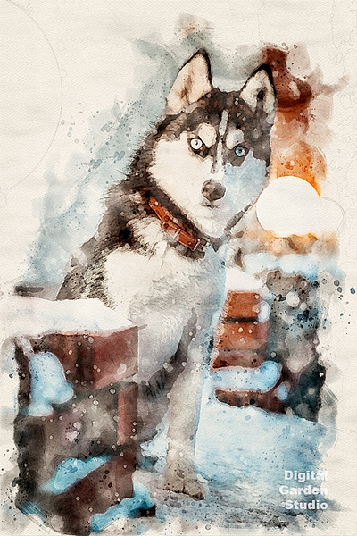 watercolor dog portrait illustration watercolor painting