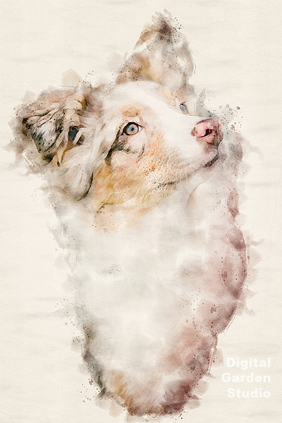 watercolor dog portrait illustration