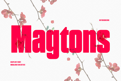 Magtons Display Font animation branding design font fonts graphic design logo nostalgic
