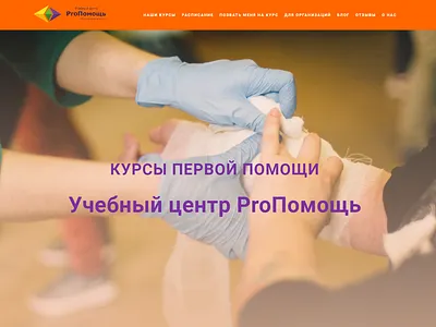 pomosh.pro branding landing page responsive design web design