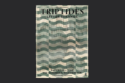 Triptides - Poster & Social Media Artwork. art bands design graphic design illustration music poster poster art