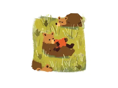 bear and book