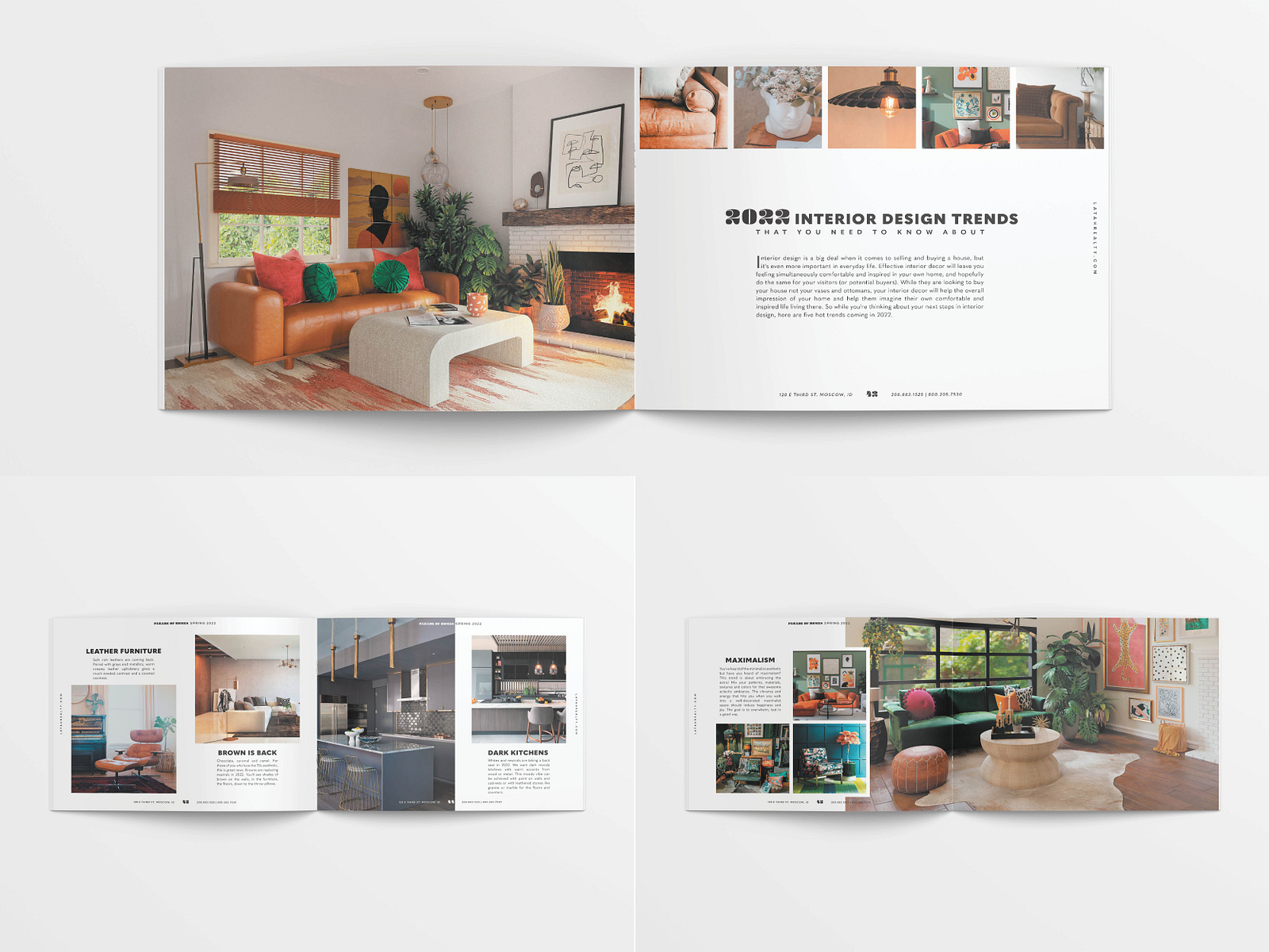 Magazine Article Layout Design