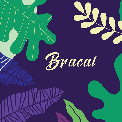 Bracai - Açaí products Brand branding graphic design illustration marketing design package design vector visual design visual identity