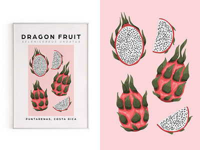 Dragon Fruit Market Poster design graphic design illustration typography vector