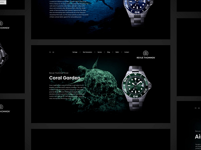 Watch Website animation brand branding coral reef design diver identity minimalistic modern plane ui ux watch watches website website design