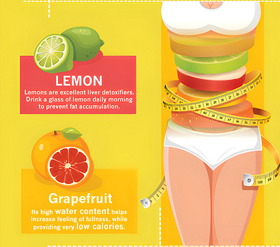 Fruits: An Infographic illustration design graphic design illustration infographics vector