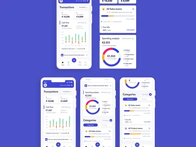 All in one accounting platform app application clean clean interface design ios minimalist sketch ui ui ux design