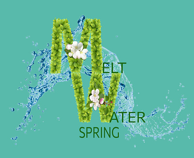 Melt Water Spring branding design logo