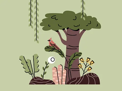 Declutter animation animation bird flowers forrest illustration jungle motion design motion graphics plants tree vector
