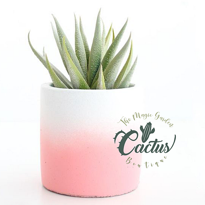 Cactus Boutique by L design studio branding cactus design graphic design logo logo design typography