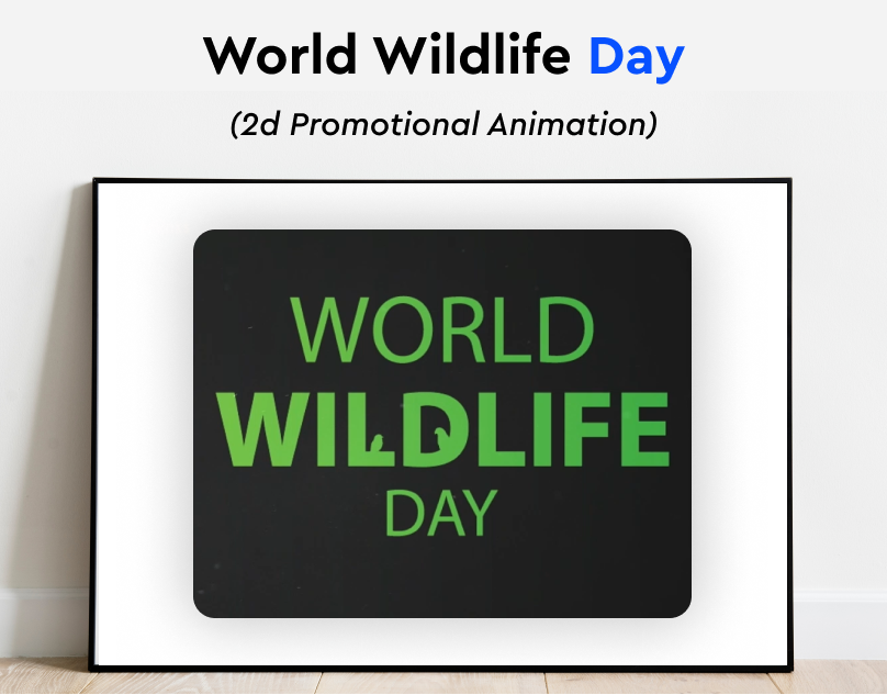 Wildlife Day Animation animation app branding design graphic design illustration logo mobile design ui ux vector