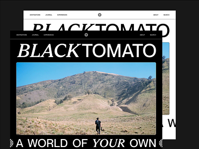 Black Tomato — Concept advisor agency animation black and white branding design header layout modern motion graphics sans serif travel typography ui website