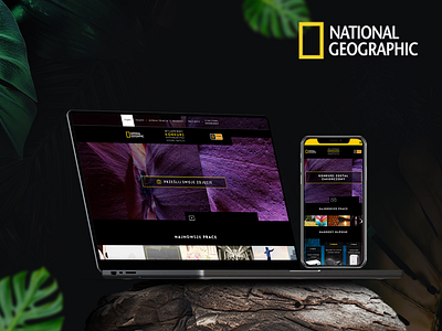 National Geographic Photo Contest 7 ui uiux ux www