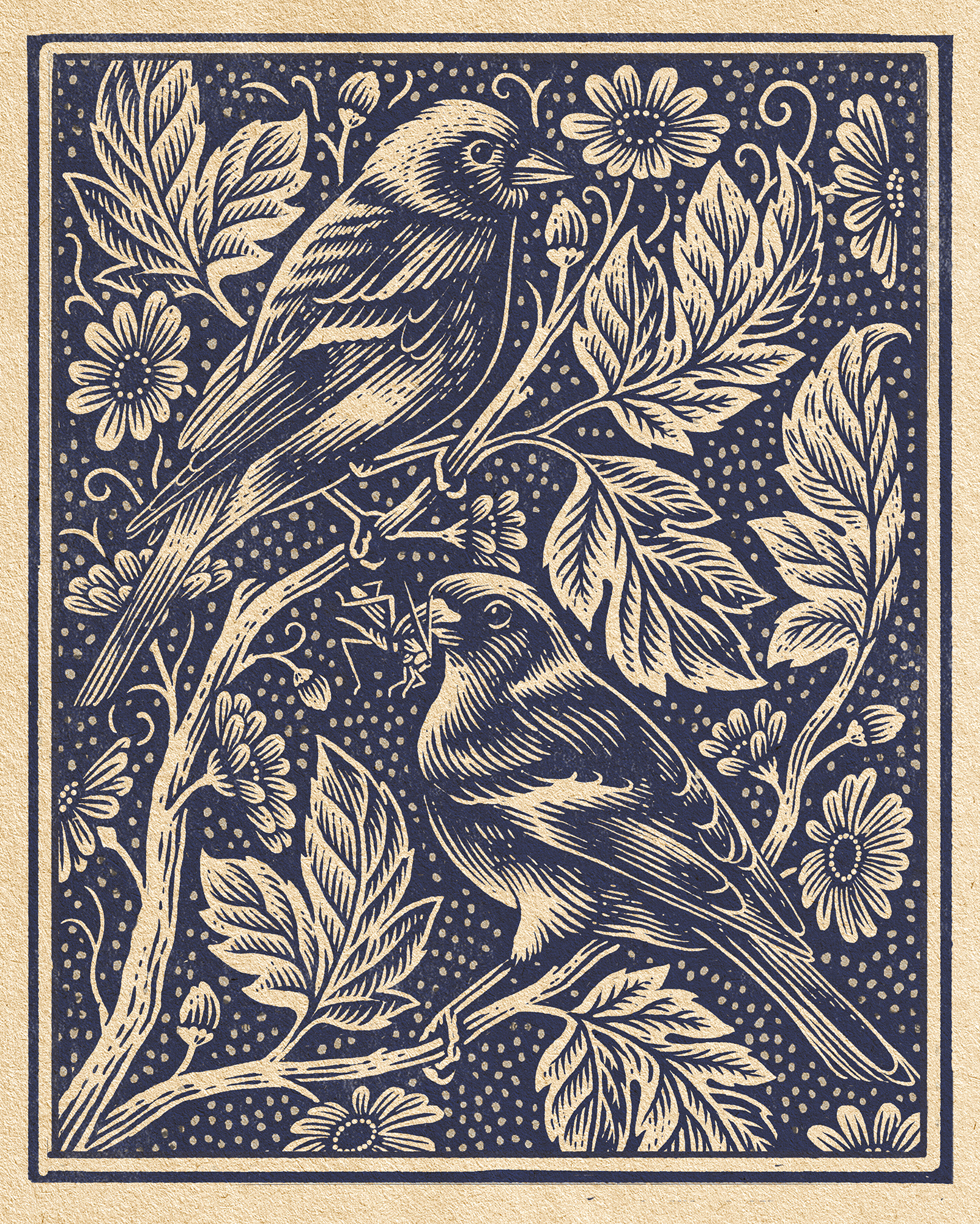 Chaffinch bird botanical digital ella ginn folioart illustration lino nature print wildlife