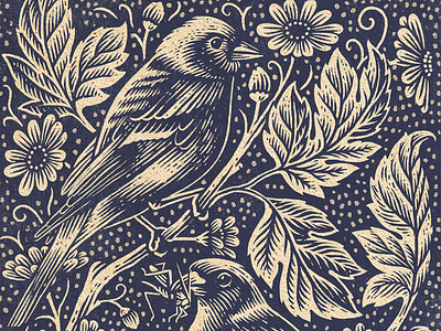 Chaffinch bird botanical digital ella ginn folioart illustration lino nature print wildlife