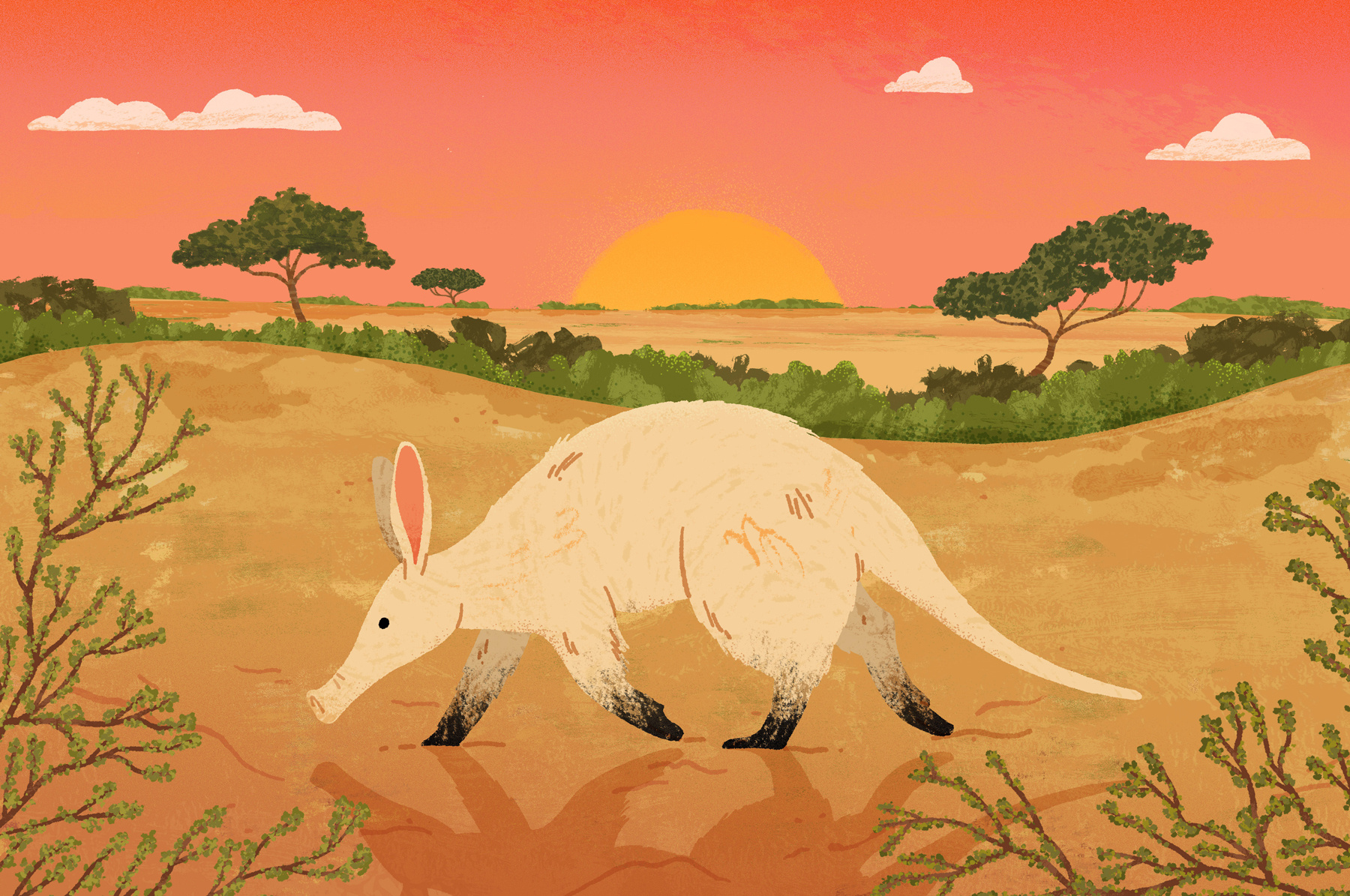 Zoo Animals africa animals conservation digital folioart illustration map michael parkin nature zoo