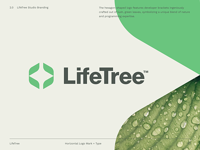 LifeTree app branding design icon identity illustration logo ui vector website