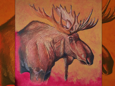 Ant, Moose acrylic paint animals art arte illustration il·lustracio llapis moose pen pencil pencil art