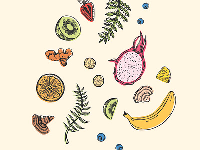 Fruit Illustration design drawing fruit illustration