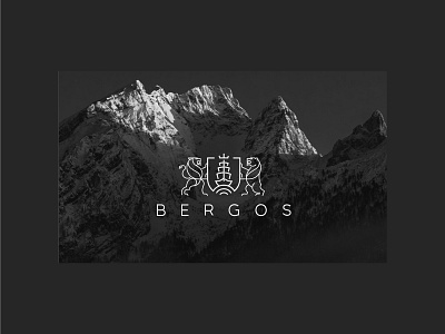 Bergos Bank - Case Study branding design graphic design illustration logo typography ui ux vector website