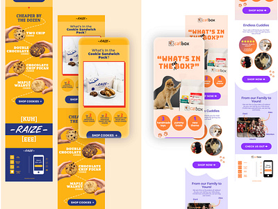 Email Design Practice–Raize Cookies and Catbox adobe illustrator branding figma graphic design graphic designer illustrator ui