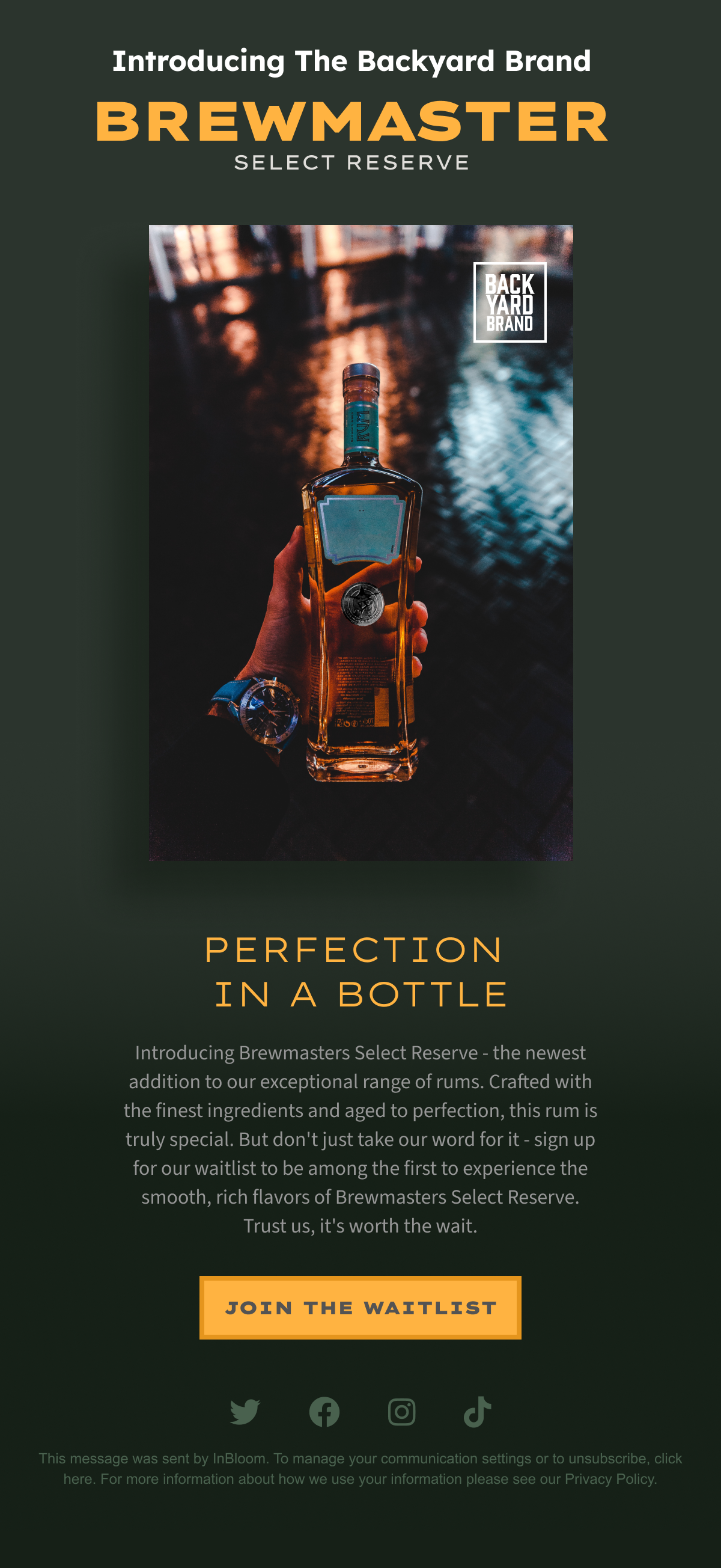 Email Design - Backyard Brand email