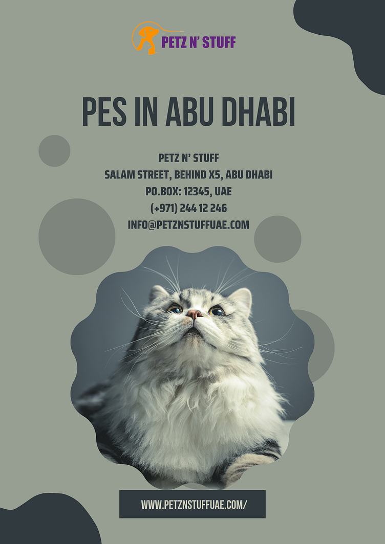 pets in abu dhabi image by Petz N Stuff on Dribbble