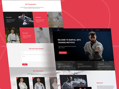 Website design: Martial Arts Training Institute 🥋 app figma illustration ui user experience user interface ux webdesign website redesign