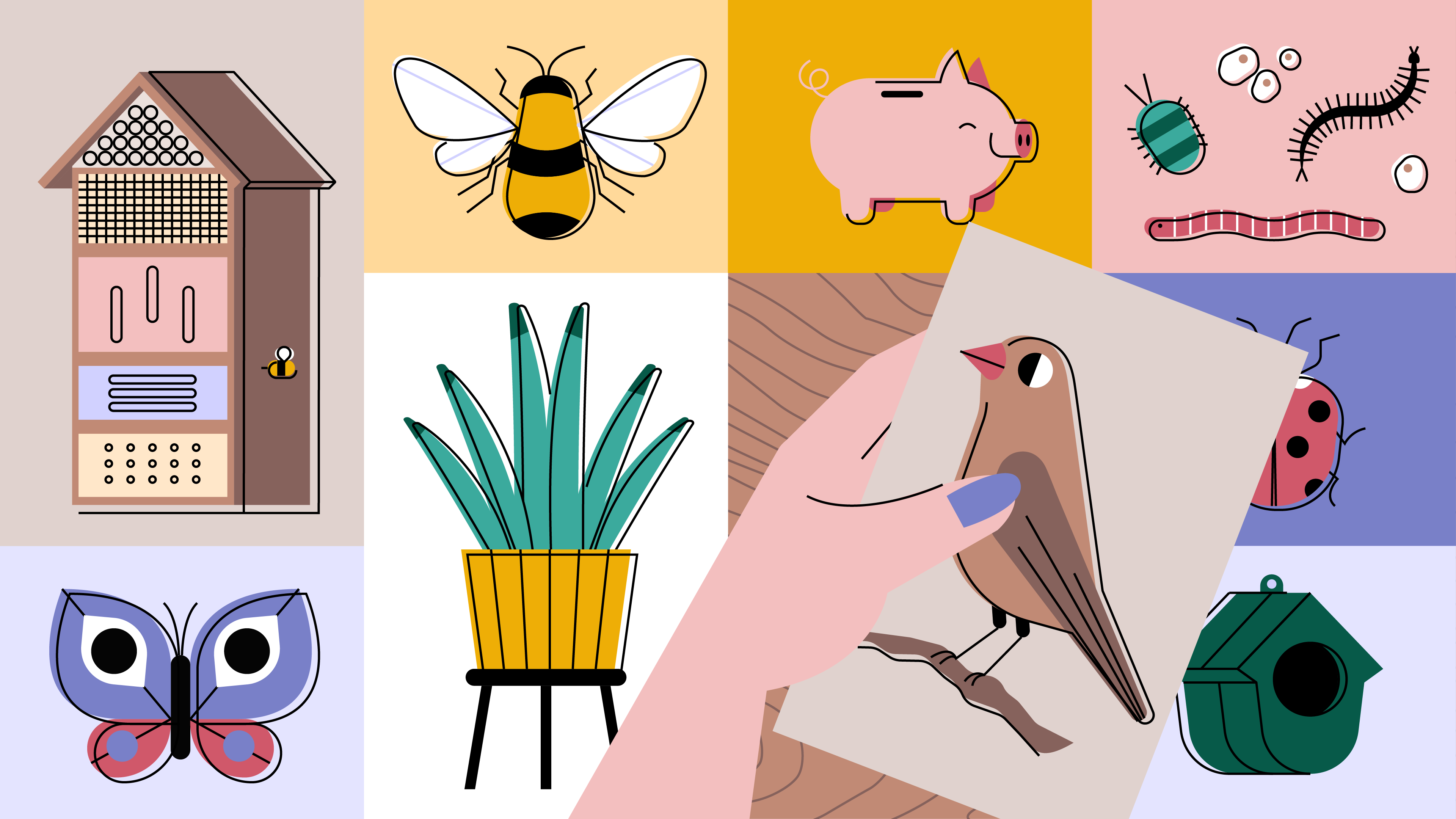 Marvy Green explainer animation animation bird branding butterfly cards illustration insects motion graphics piggy bank plants vector