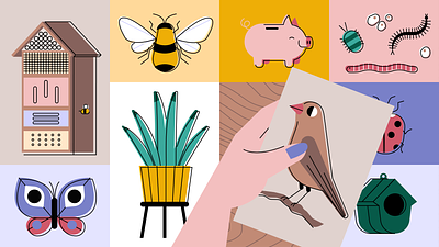 Marvy Green explainer animation animation bird branding butterfly cards illustration insects motion graphics piggy bank plants vector