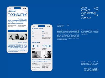 Ritorika Capital - website behance blue consulting design figma graydesign landing landingpage minimal mobile ritorika ui ux web webdesign website