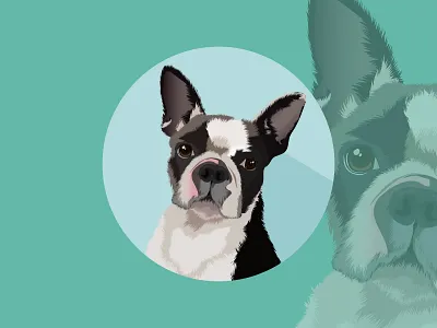 Vector Dog Portrait animal breed cartoon cat dog dog breed graphic design greyhound illustration logo pet portrait profile ui vector vector portrait