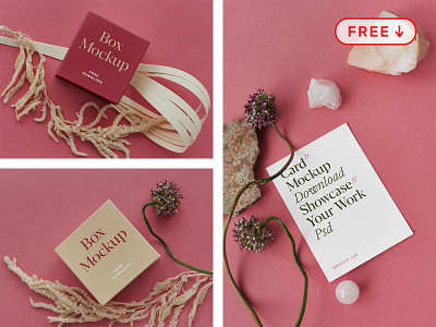 Free Box & Card with Stones Mockup box branding cards design download free freebie identity logo mockup psd stationery template typography