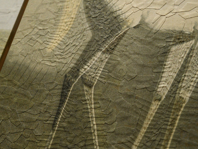 After Volkers II, detail collage detail horse studio texture volkers