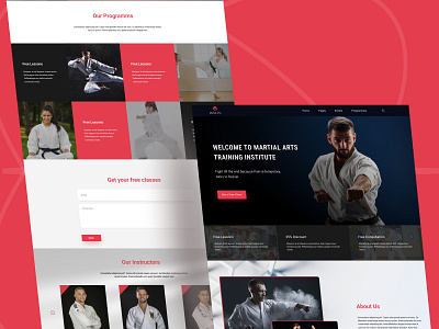 Website design: Martial Arts Training Institute branding design landing page design ui ux web design web ui