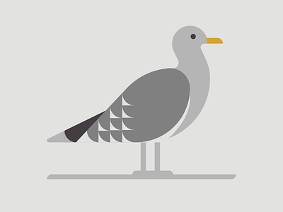 Gull bird birds california design graphic design gray grey gull illustration illustrator sea sea gull seagull vector wing yellow