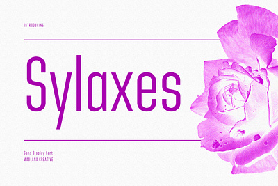 Sylaxes Condensed Sans Font animation branding font fonts graphic design logo nostalgic