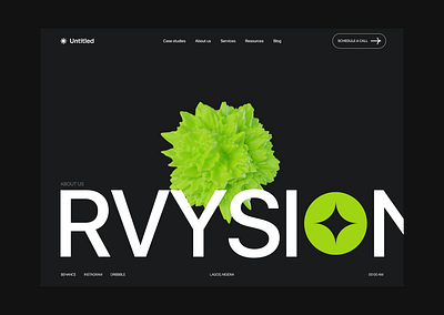 Rvysion website blockchain branding defi design illustration logo ui uiux web3 website