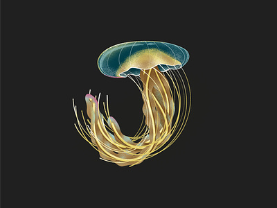 Jellyfish 🌊 36 days j 36 days of type gouache shaders handlettering illustration jellyfish retro supply co typography