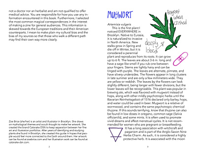 Nine Brooklyn Plants--Mugwort editorial illustration graphic design illustration layout layout design print design print layout